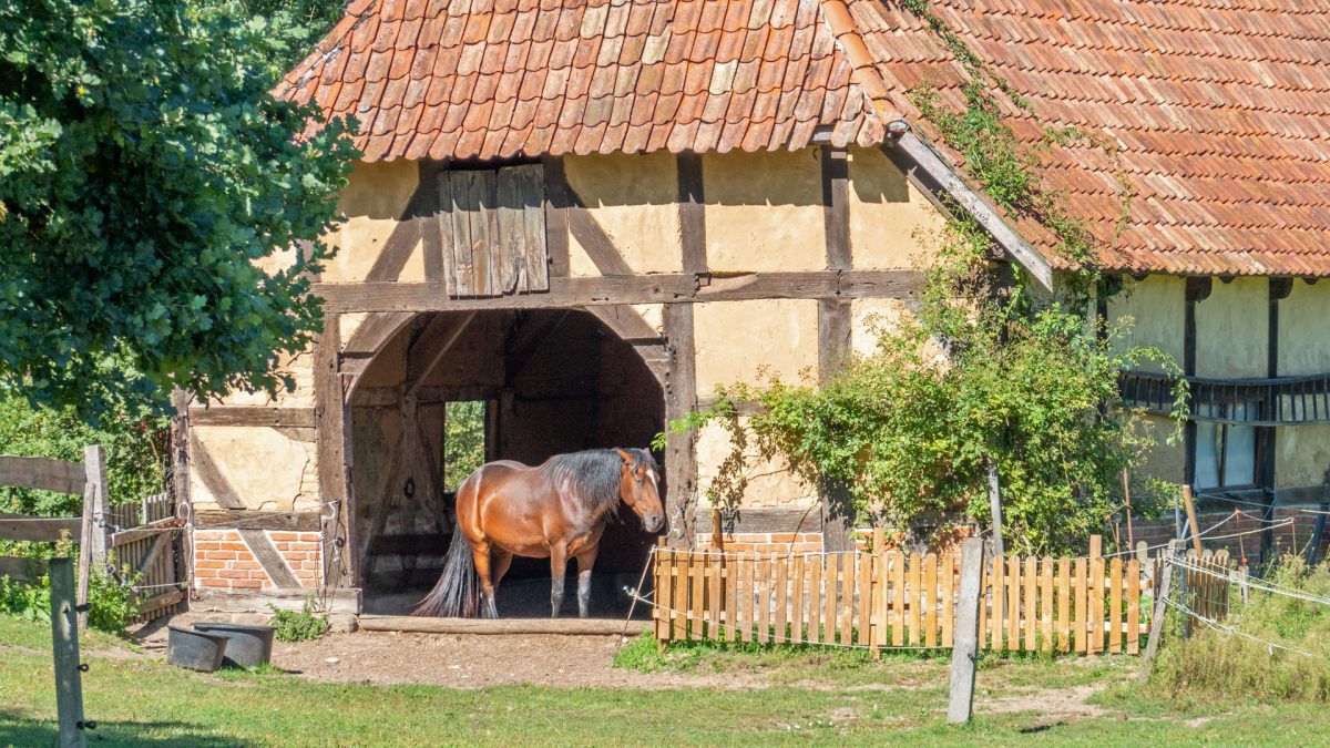 Radtour In den Süden Von Lüneburg nach Lohr Main